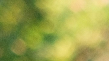 pagar tickets de parking