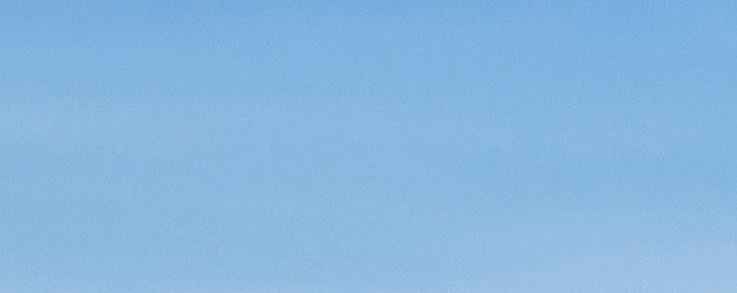 Ford F-150 Raptor 2024.