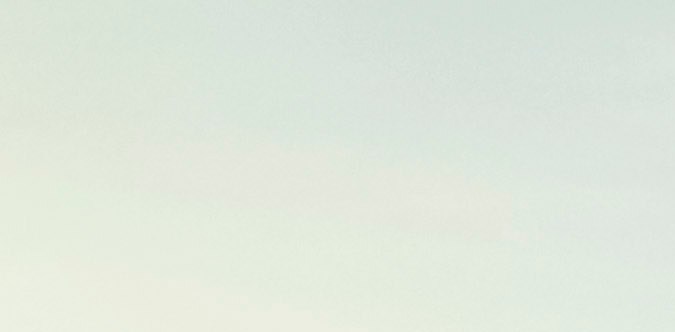 Ford F-150 Raptor 2024.