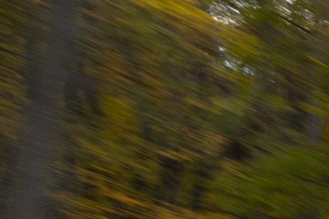 audi Sportbacke-tron