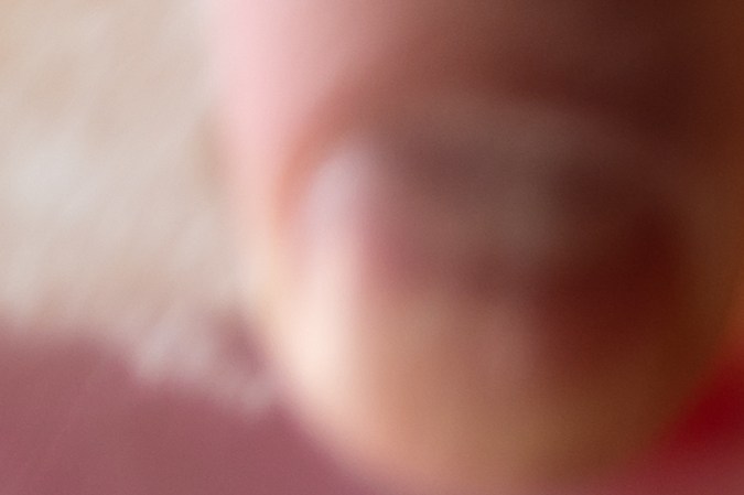 Qué es el estabilizador de combustible