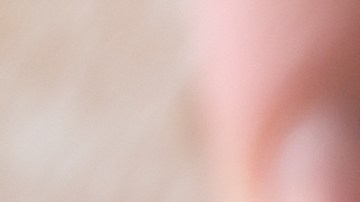 Qué es el estabilizador de combustible