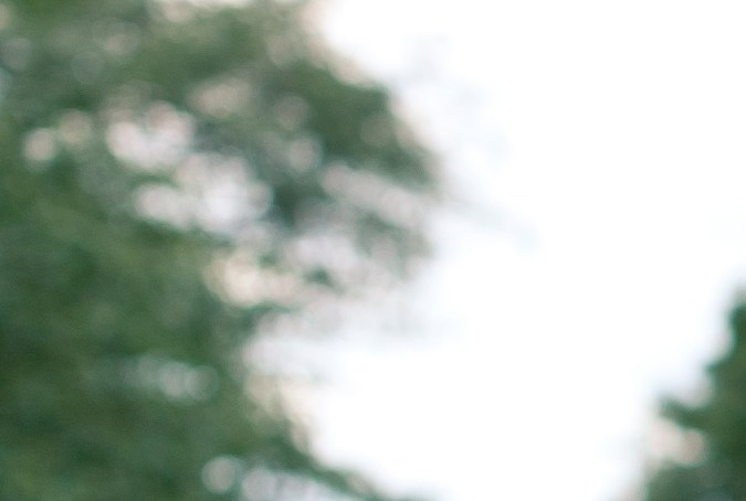 multas Thanksgiving NY