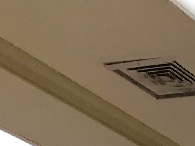 licencia de conducir en florida para inmigrantes 2022 (alt text)