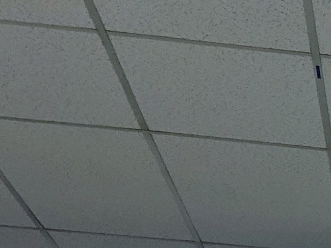 licencia de conducir en Estados Unidos sin papeles en Miami