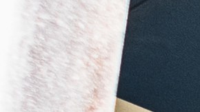 transportar a un familiar indocumentado en florida