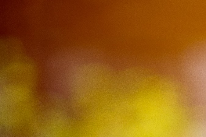 rentar carro en turo