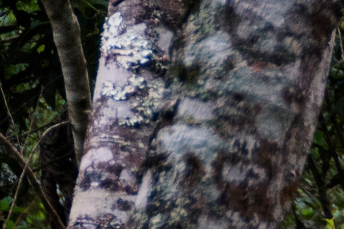 Vehículos de Baja Velocidad