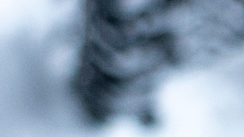 ¿Es segura la tracción trasera en la nieve?