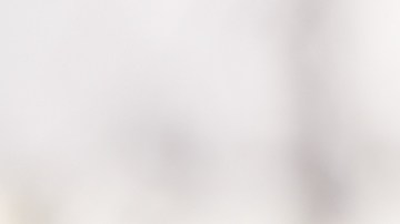 qué hacer si te para la policía