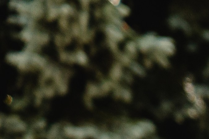 licencia de conducir en florida para inmigrantes 2023