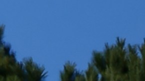 Cómo renovar la licencia de conducir en Georgia