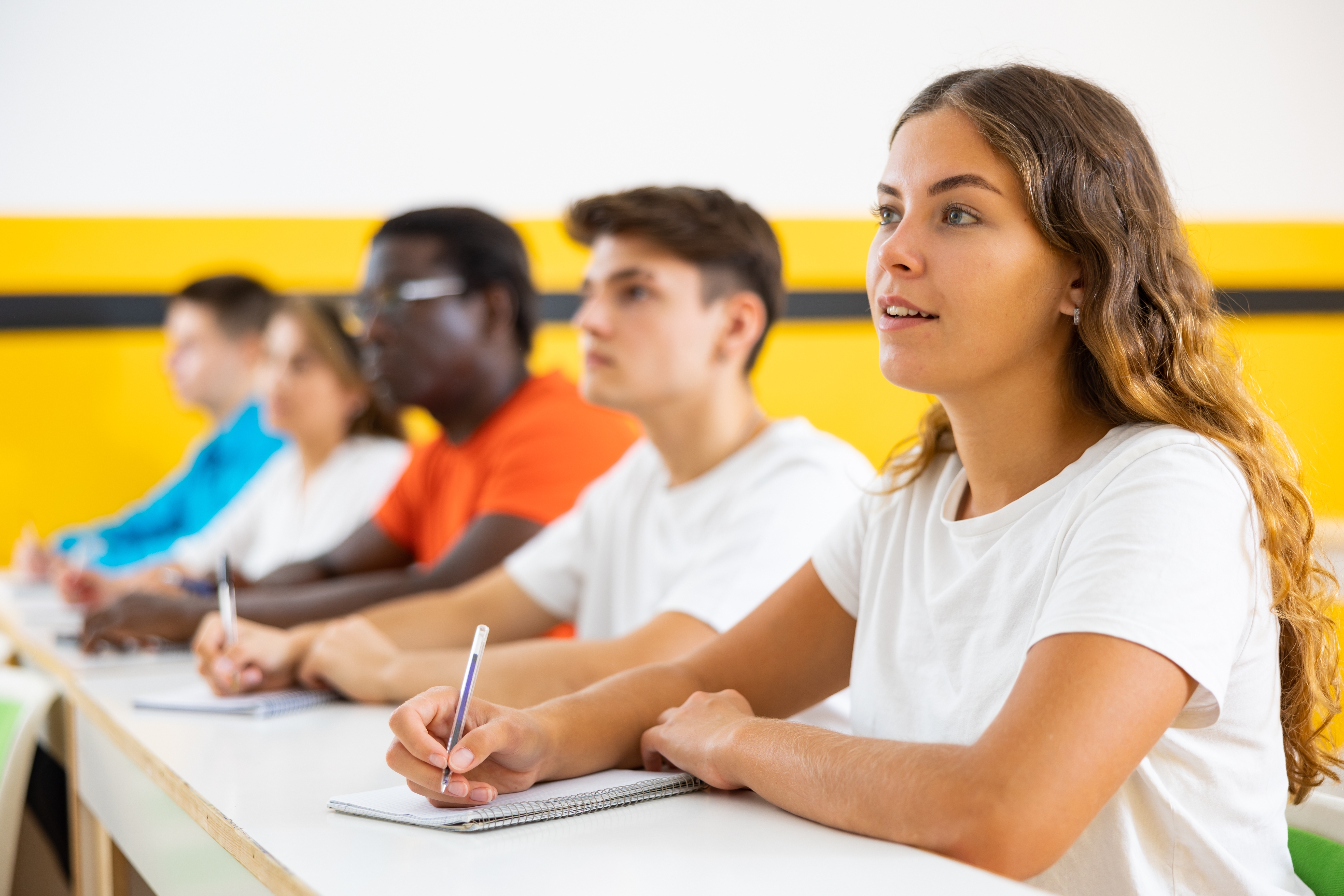 escuelas de manejo en orlando