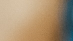 Cómo llenar un título de carro de New York