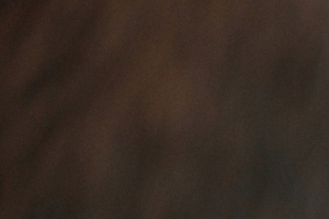 Cómo ahorrar en el seguro de tu automóvil