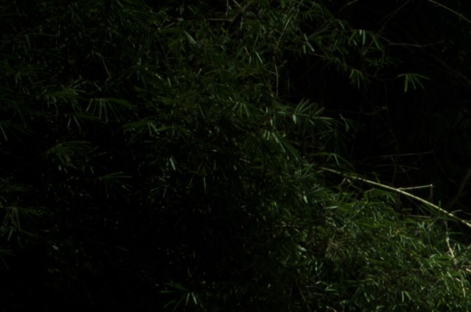 Curvas en la carretera