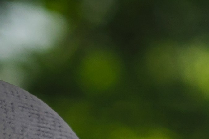 multas Thanksgiving NY