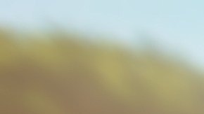 Motos 2024: las mejores opciones del mercado