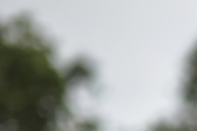 cuánto tiempo tengo para reportar un accidente de carro