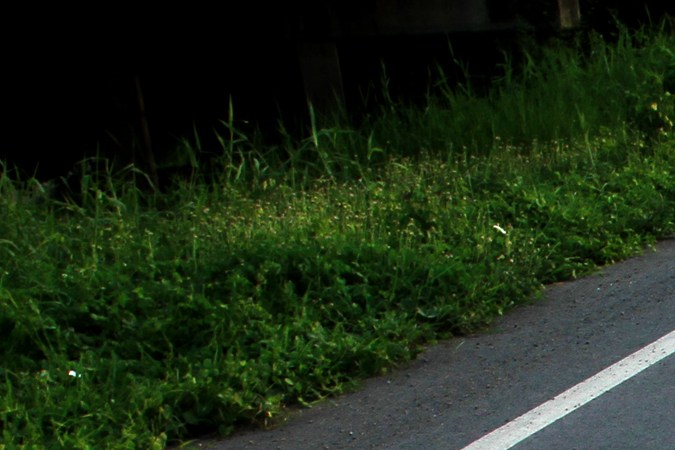 Señal de fin de carretera dividida preguntas examen