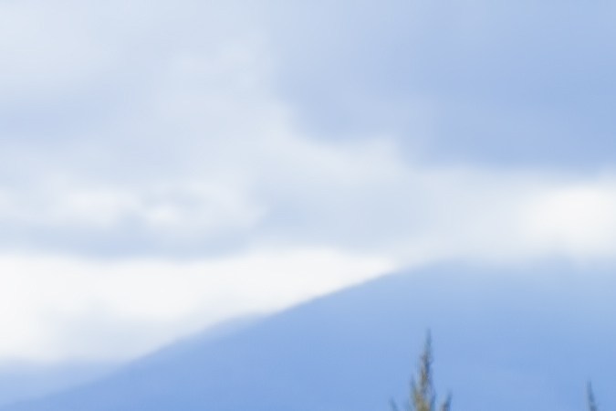 Qué debo revisar si he caído en un bache con el carro