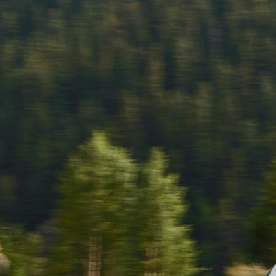 Toyota lanza su nuevo SUV eléctrico, el Crown Signia