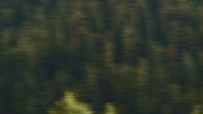 Toyota lanza su nuevo SUV eléctrico, el Crown Signia