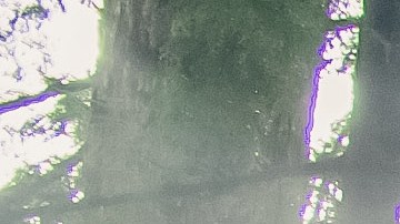 2024 EV9 & EV9 GT-Line