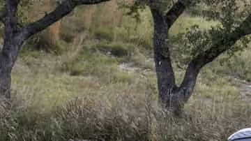 Ford F-150 Lightning XLT camping