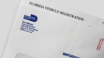 renovar la registración de carro en Florida