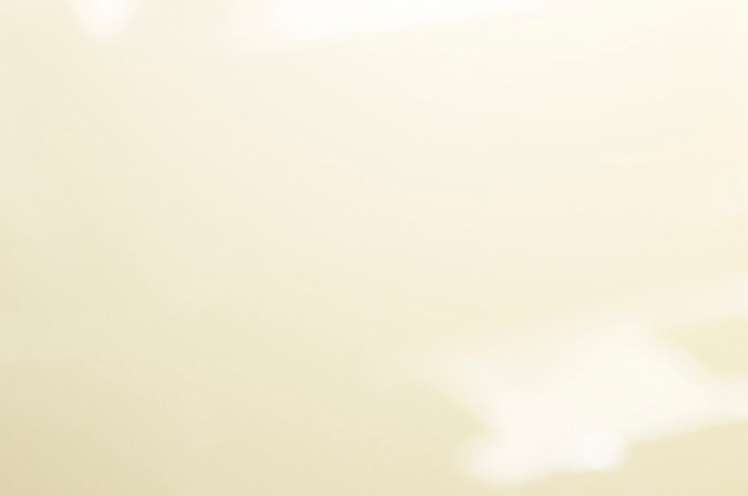 válvula de admisión 