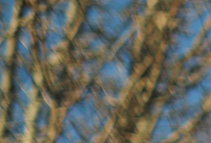 Cambio de dirección licencia de conducir Florida por internet