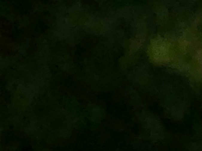 registro de vehículos para mayores