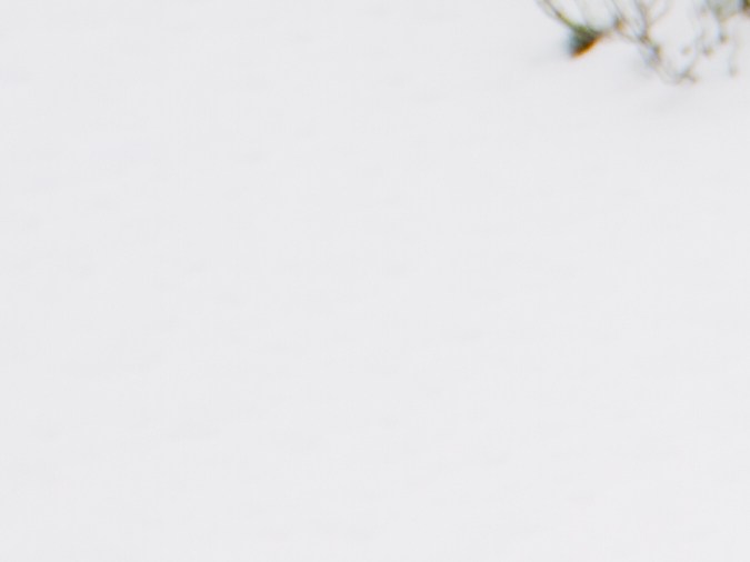 ¿Cómo llevar un árbol de navidad en el carro?