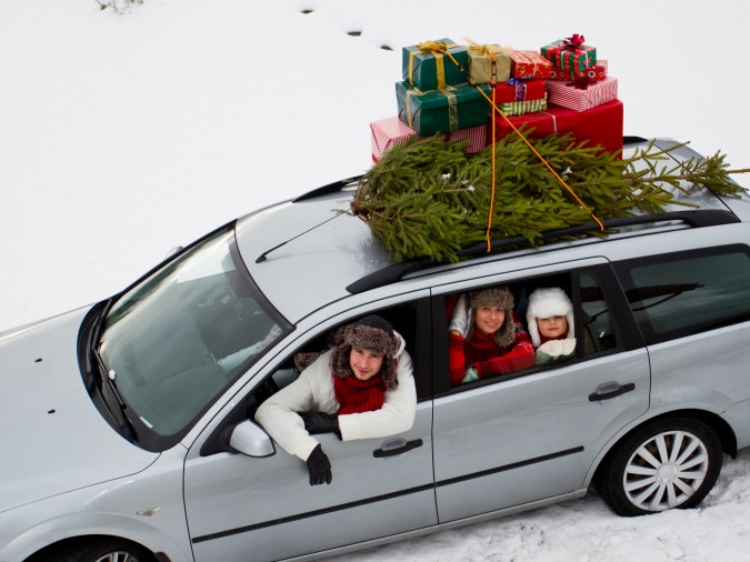 ¿Cómo llevar un árbol de navidad en el carro?