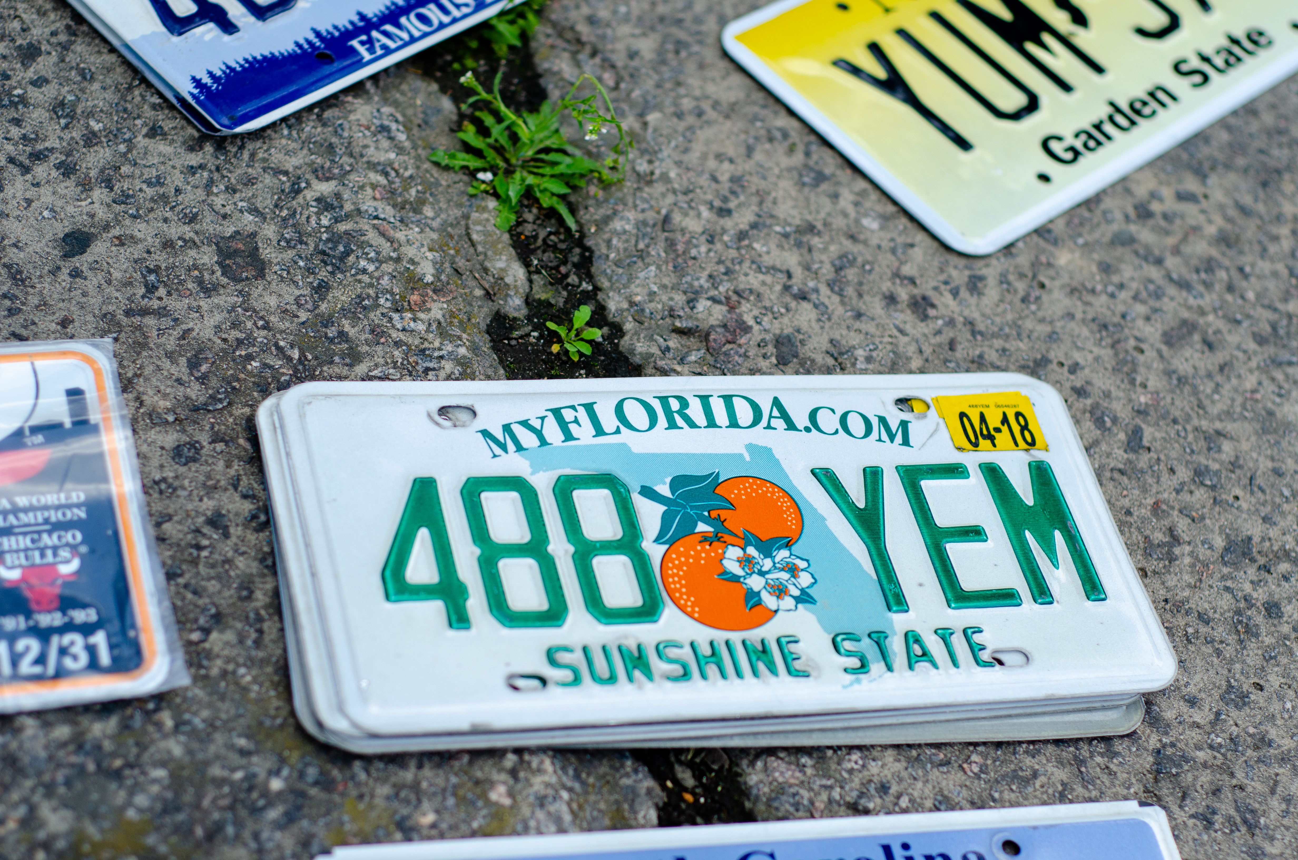 Cómo sacar una placa temporal en Florida