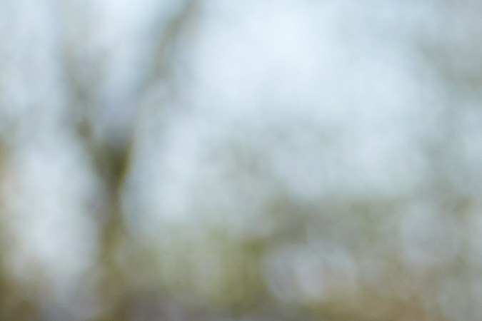 ¿Cuánto puedo recibir por un accidente de auto?