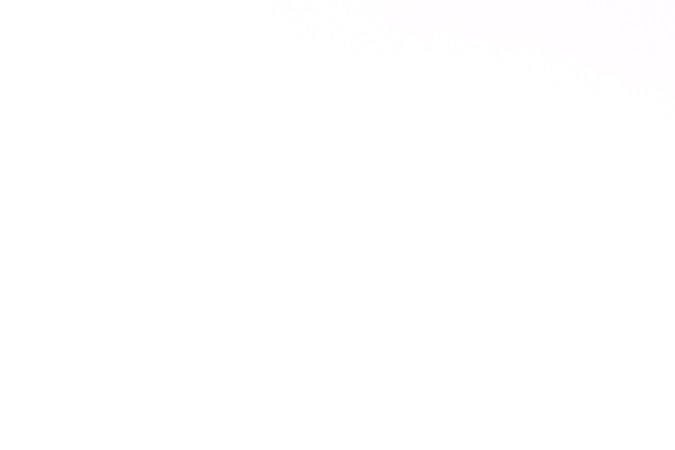 Sanciones por rebasar a un autobús escolar detenido en Florida