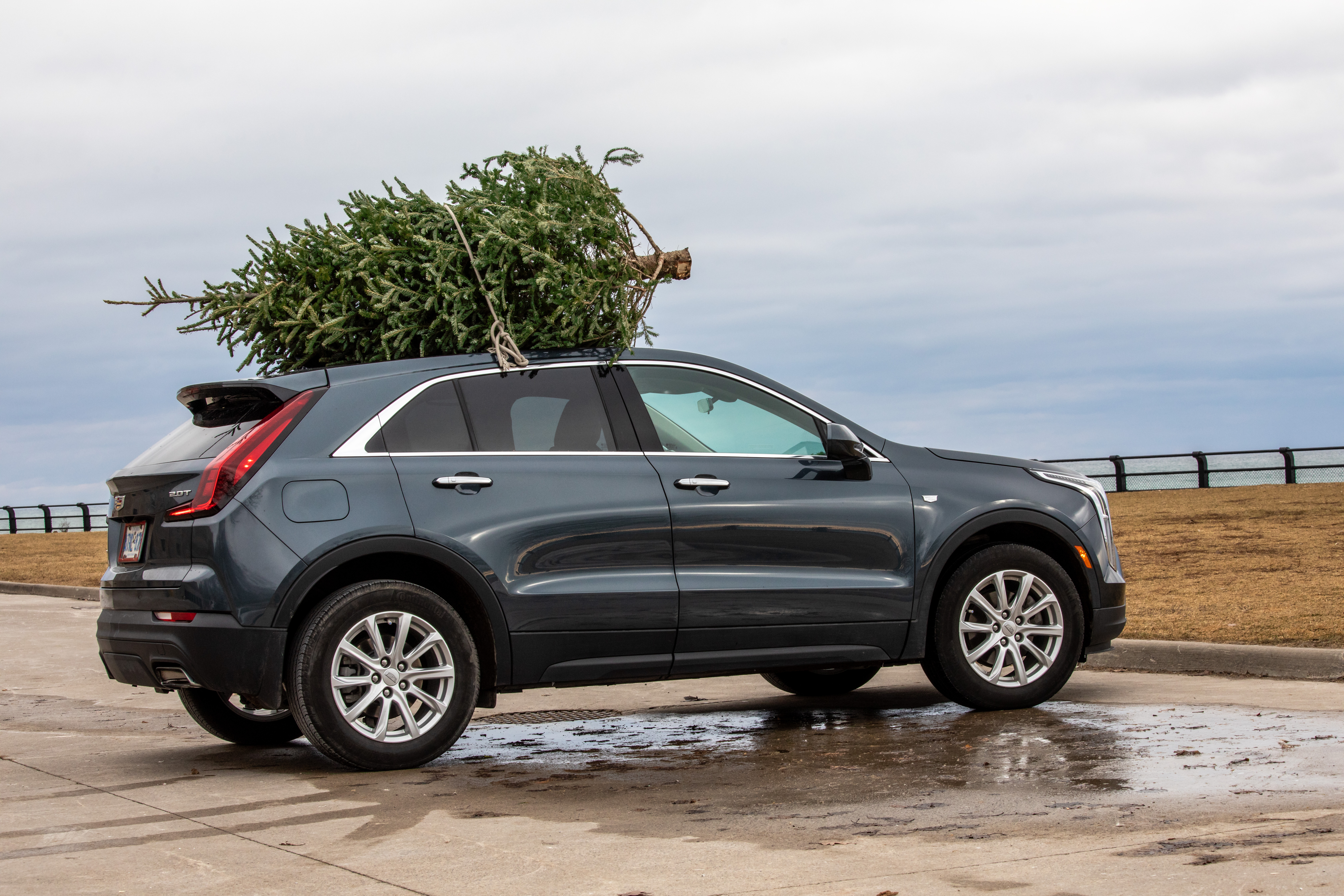 como llevar el arbol de navidad en el carro