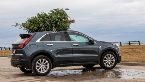 como llevar el arbol de navidad en el carro