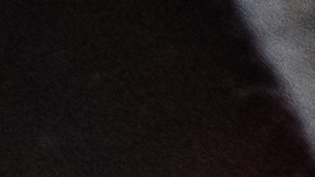 Accesorios ideales para viajar en tu camioneta