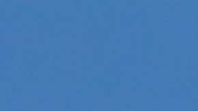 placa temporal en Florida donde se saca