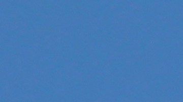 placa temporal en Florida donde se saca