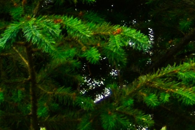 estacionamiento de trailas cerca de mi