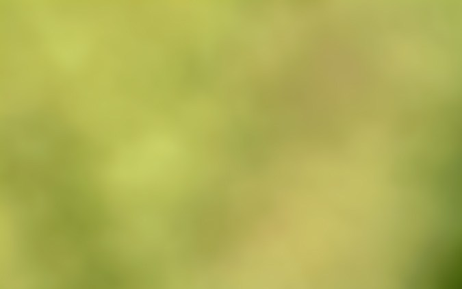 mejores subastas de carros online