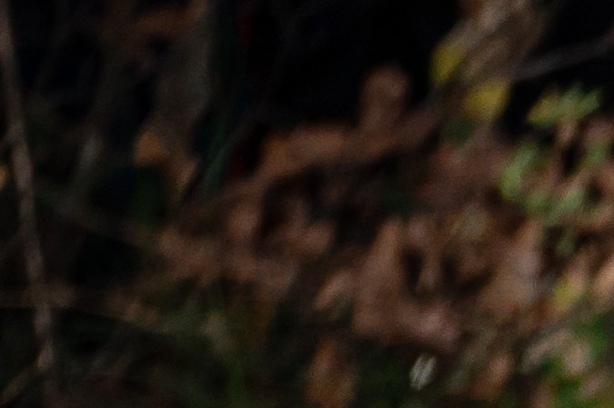 Audi Quattro: el carro de la tracción total