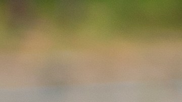 ¿Cuánto puedo recibir por un accidente de auto?