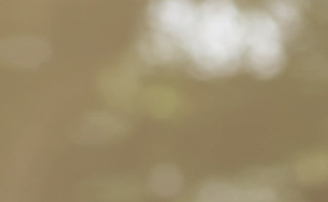 Partes del motor de donde puede provenir un bote de aceite