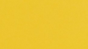 licencia de conducir alabama