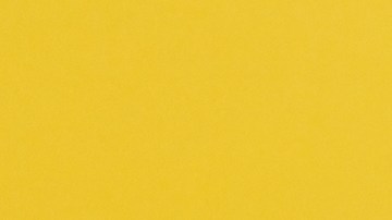 licencia de conducir alabama